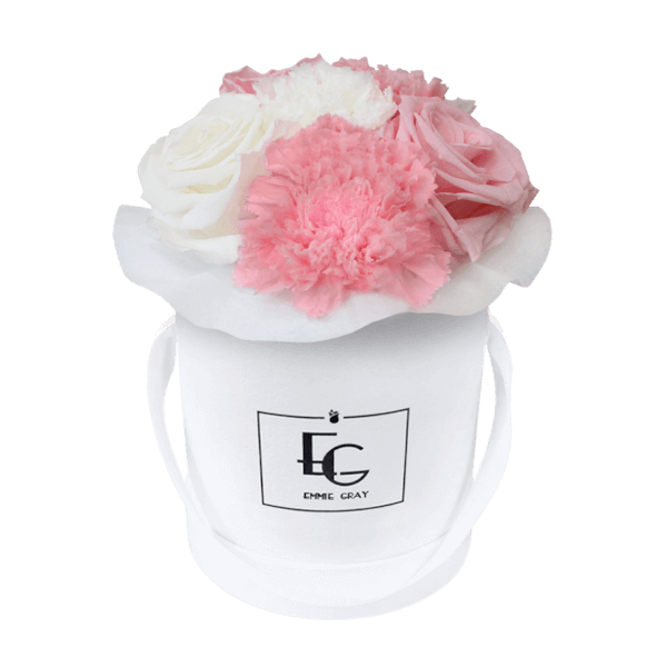 SPLENDID CARNATION MIX INFINITY ROSEBOX | BRIDAL PINK & PURE WHITE | XS