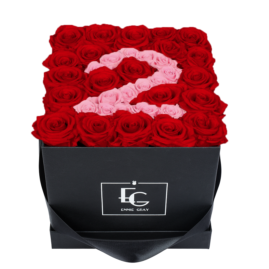 NUMBER INFINITY ROSEBOX | VIBRANT RED & BRIDAL PINK | M