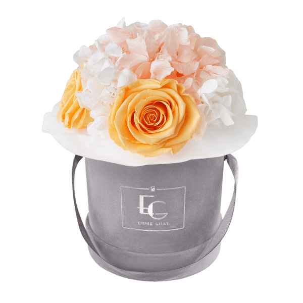 Splendid Hydrangea Mix Infinity Rosebox | Perfect Peach & Pure White | XS