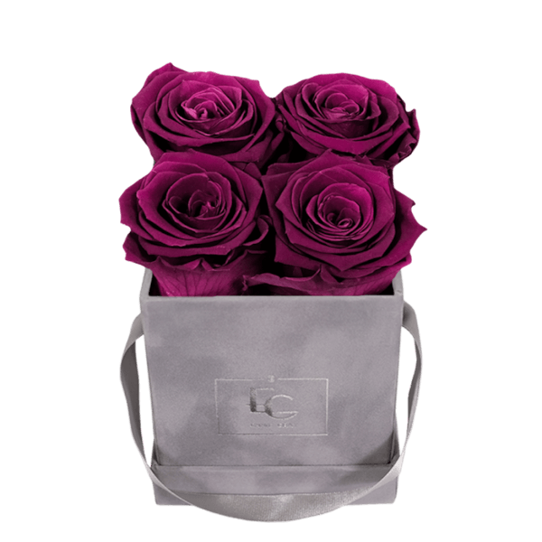 CLASSIC INFINITY ROSEBOX | VELVET PLUM | XS