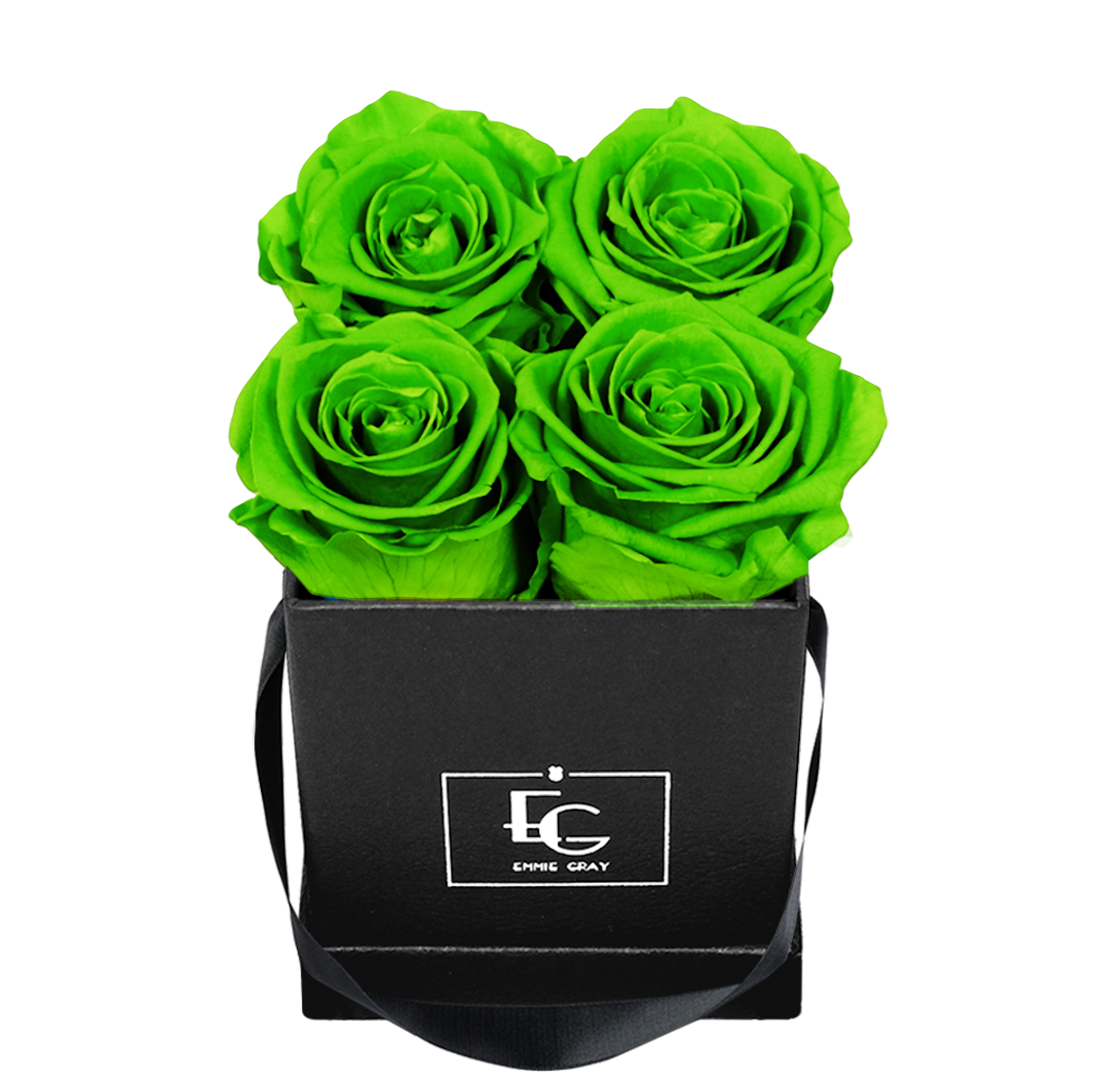 CLASSIC INFINITY ROSEBOX | GREEN GLOW | XS