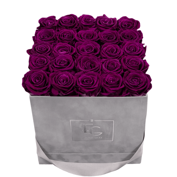 CLASSIC INFINITY ROSEBOX | VELVET PLUM | M