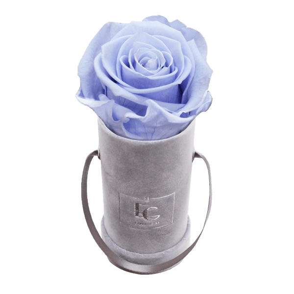 CLASSIC INFINITY ROSEBOX | COOL LAVENDER | XXS