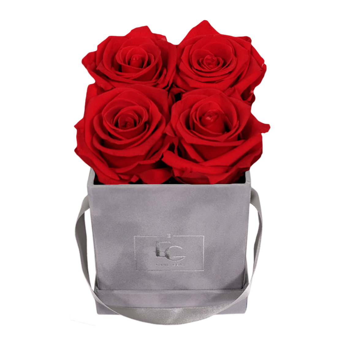 CLASSIC INFINITY ROSEBOX | VIBRANT RED | XS