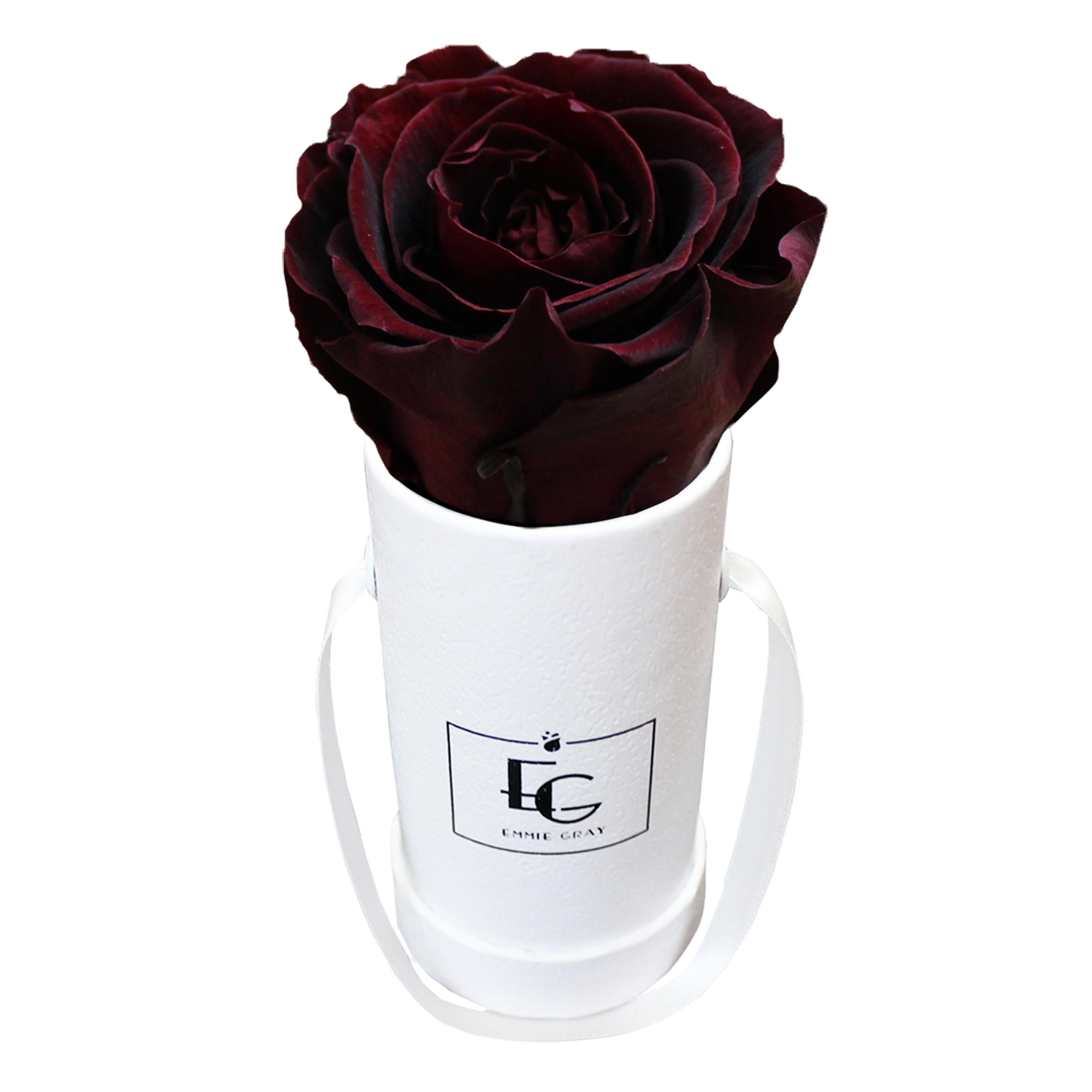 CLASSIC INFINITY ROSEBOX | BURGUNDY | XXS CLASSIC INFINITY ROSEBOX | BURGUNDY | XXS