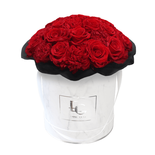 SPLENDID CARNATION INFINITY ROSEBOX | VIBRANT RED | M