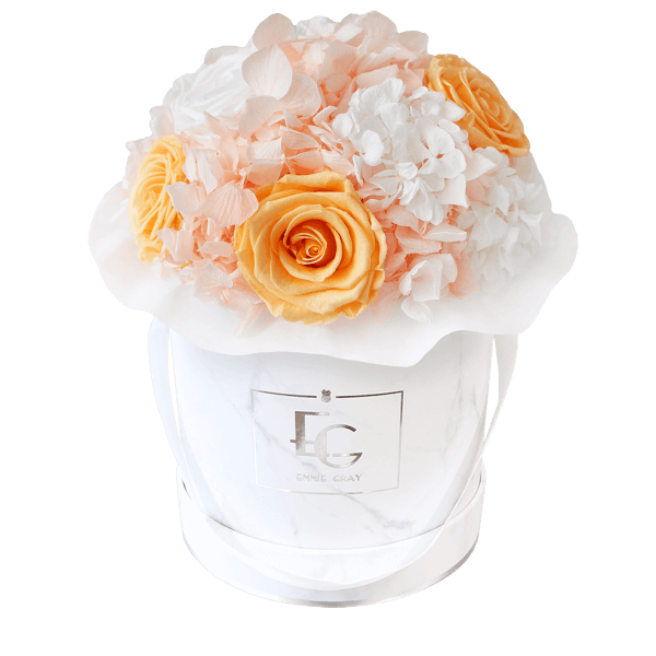 Splendid Hydrangea Mix Infinity Rosebox | Perfect Peach & Pure White | S