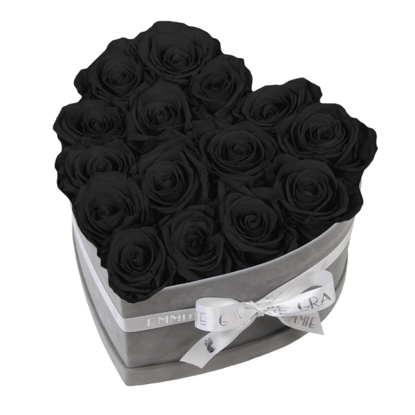 Classic Infinity Rosebox | Black Beauty | M