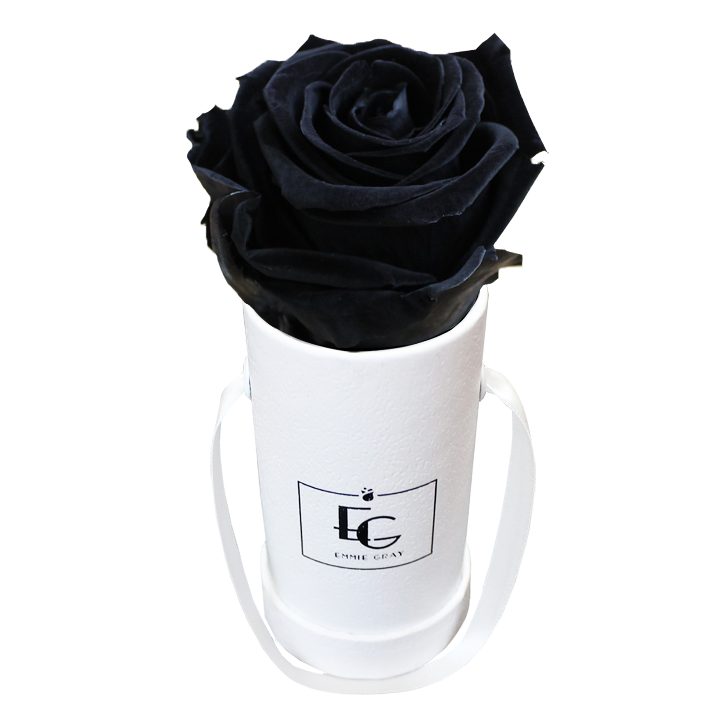 CLASSIC INFINITY ROSEBOX | BLACK BEAUTY | XXS