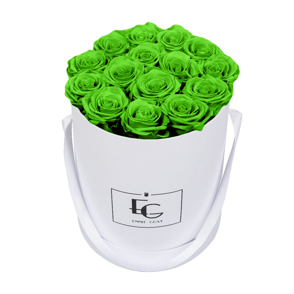CLASSIC INFINITY ROSEBOX | GREEN GLOW | M