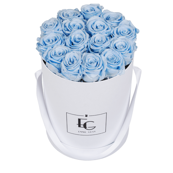 CLASSIC INFINITY ROSEBOX | BABY BLUE | M