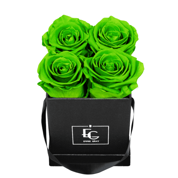 CLASSIC INFINITY ROSEBOX | GREEN GLOW | XS