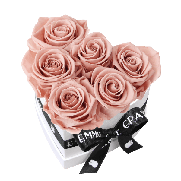 Classic Infinity Rosebox | Antique Pink | S