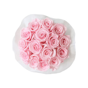 Voorvertoning: Splendid Infinity Rosebox | Bridal Pink | S Voorvertoning: Splendid Infinity Rosebox | Bridal Pink | S