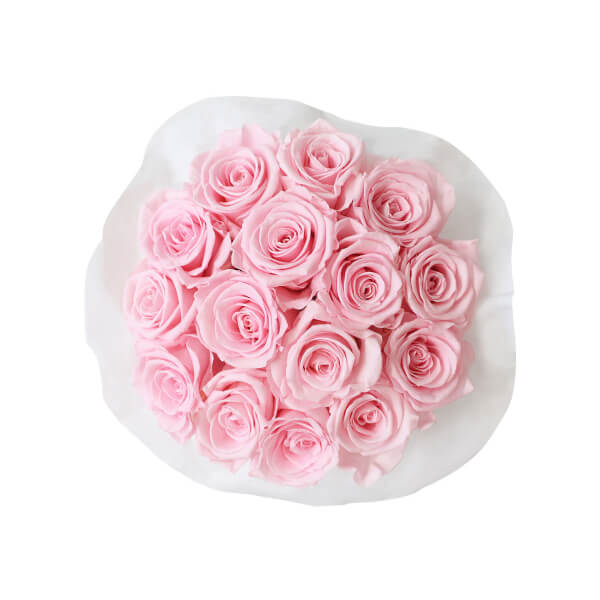 Splendid Infinity Rosebox | Bridal Pink | S