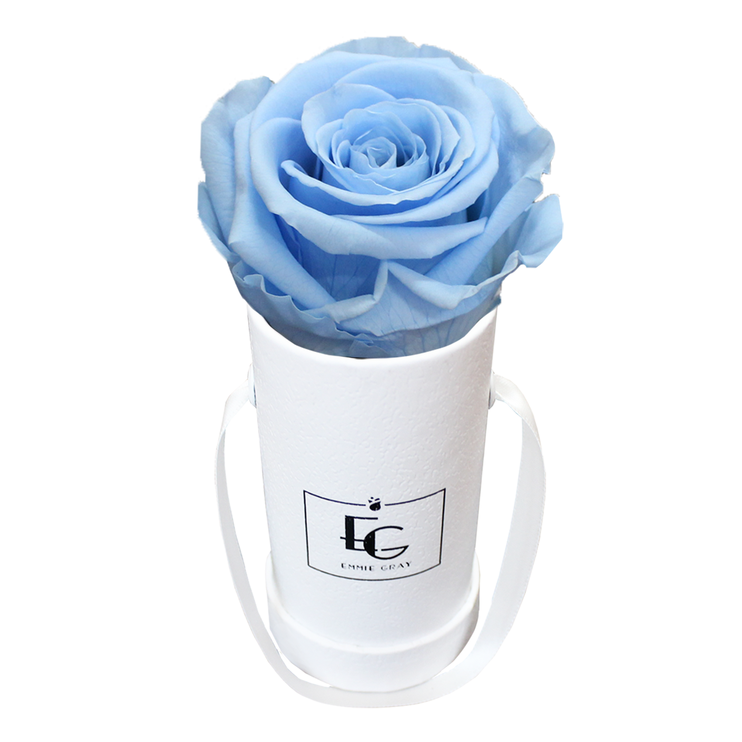 CLASSIC INFINITY ROSEBOX | BABY BLUE | XXS CLASSIC INFINITY ROSEBOX | BABY BLUE | XXS