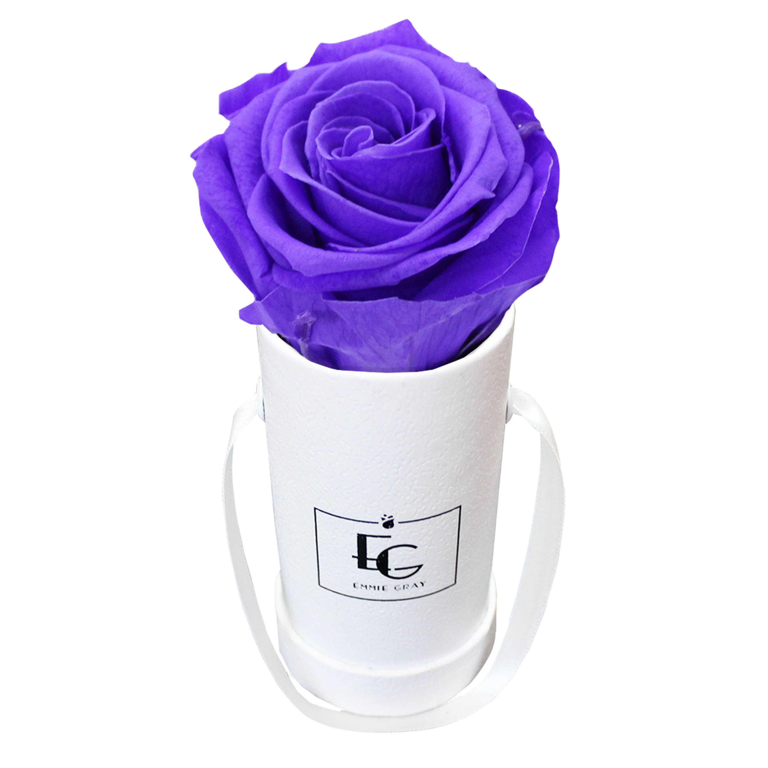 CLASSIC INFINITY ROSEBOX | VIOLET VAIN | XXS
