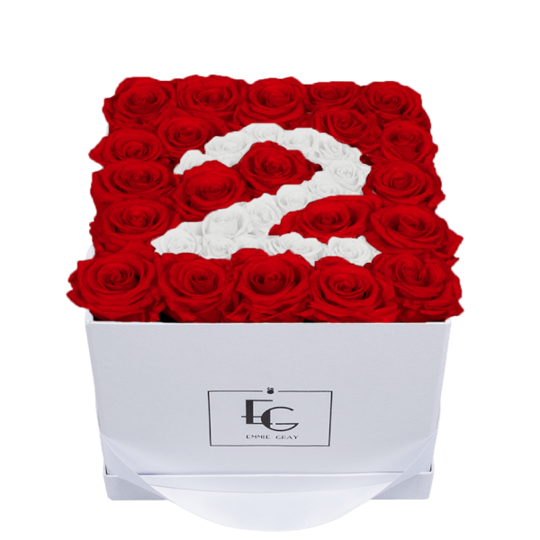 NUMBER INFINITY ROSEBOX | VIBRANT RED & PURE WHITE | M