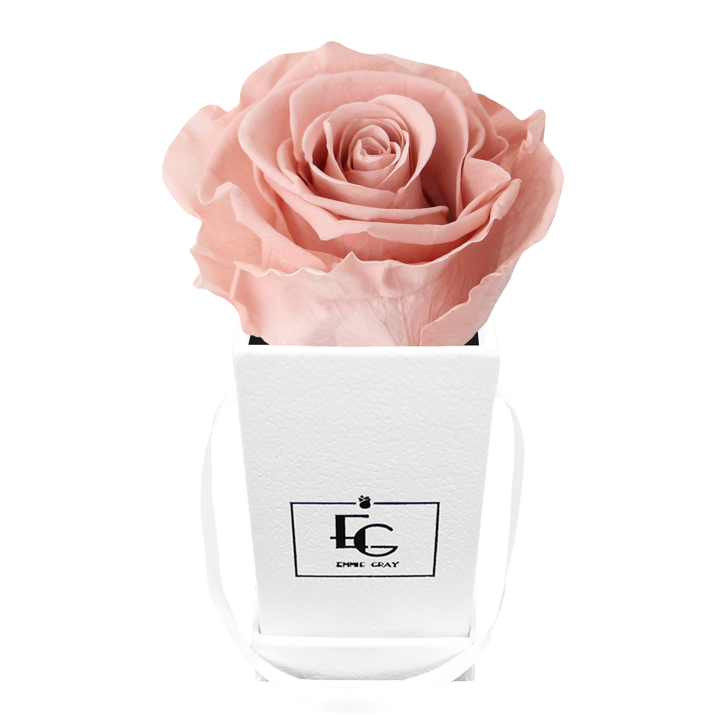 Classic Infinity Rosebox | Antique Pink | XXS