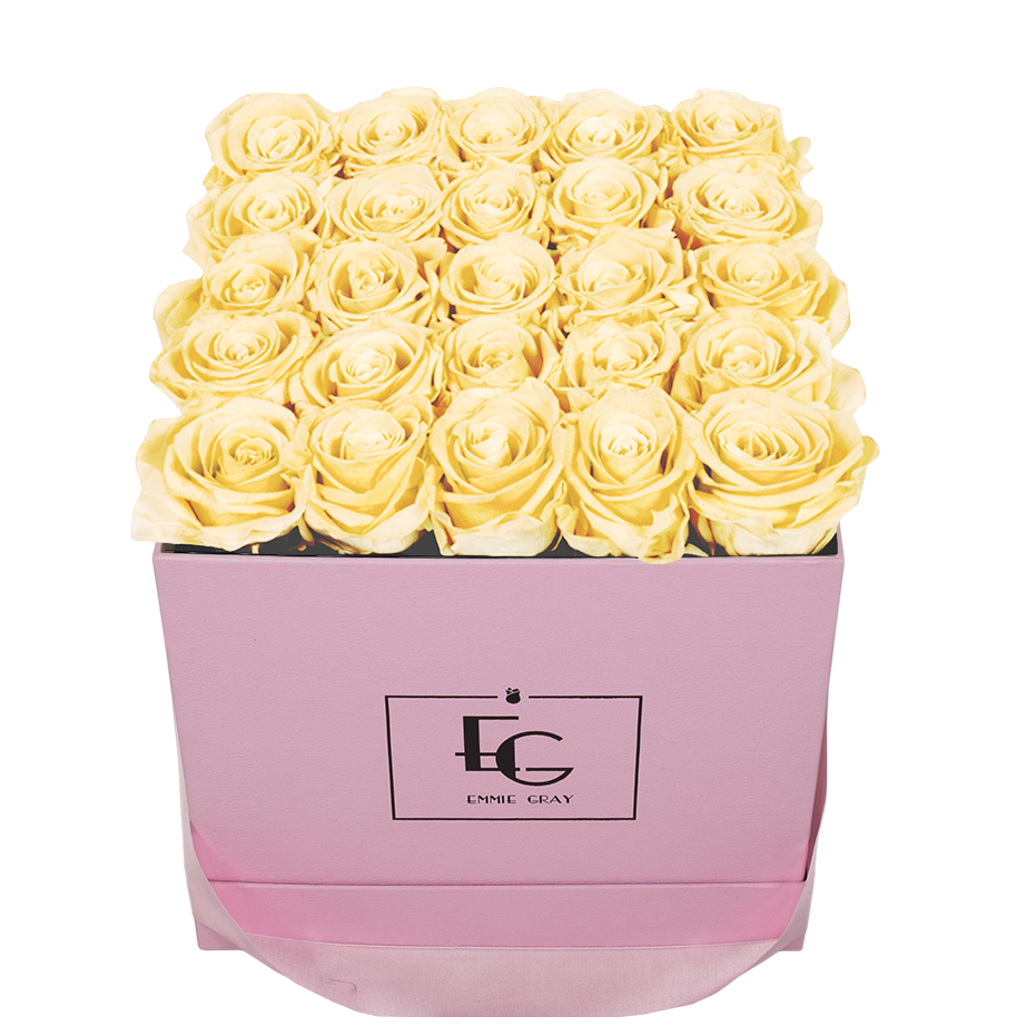 CLASSIC INFINITY ROSEBOX | CHAMPAGNE | M