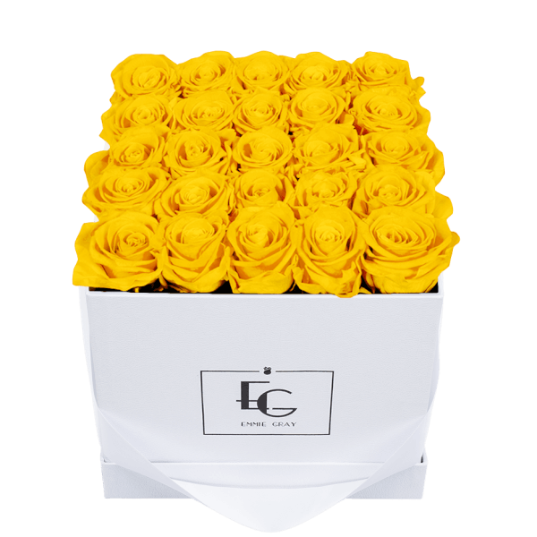 CLASSIC INFINITY ROSEBOX | SUNNY YELLOW | M