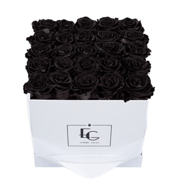 CLASSIC INFINITY ROSEBOX | BLACK BEAUTY | M