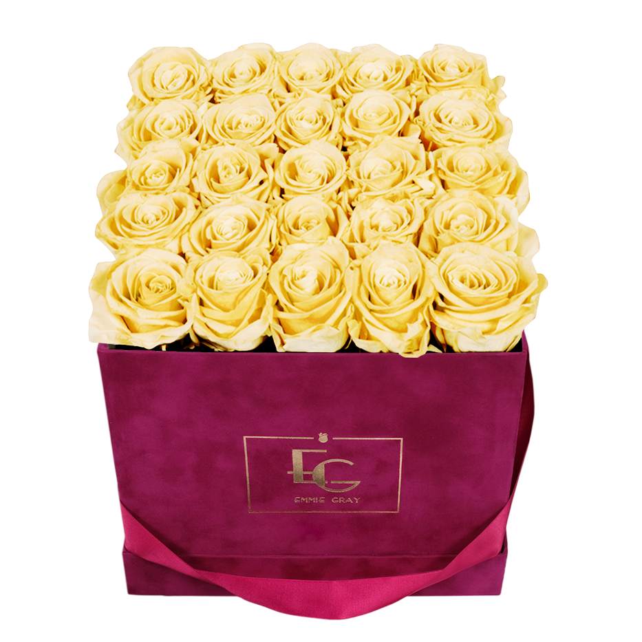 CLASSIC INFINITY ROSEBOX | CHAMPAGNE | M