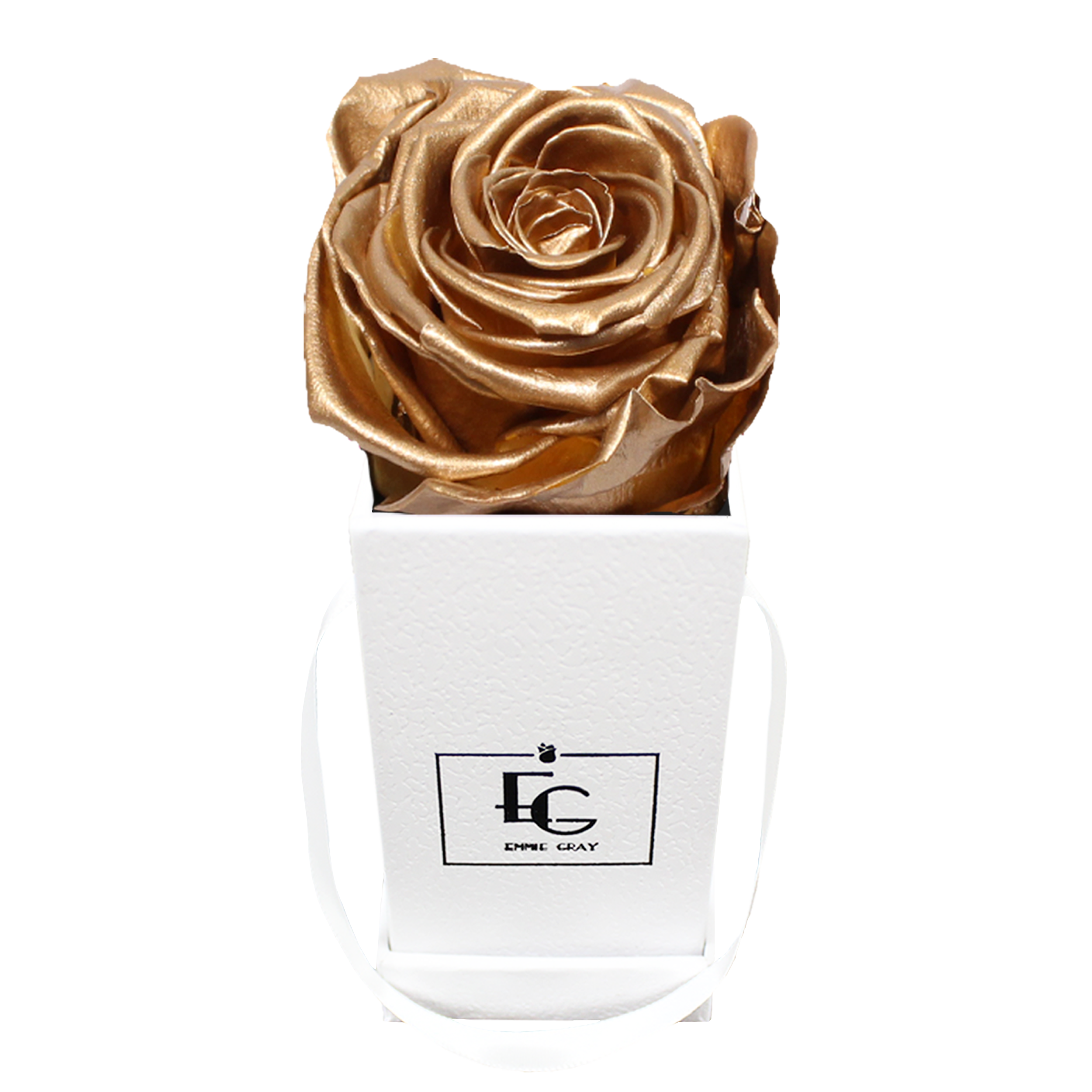 Classic Infinity Rosebox | Gold | XXS