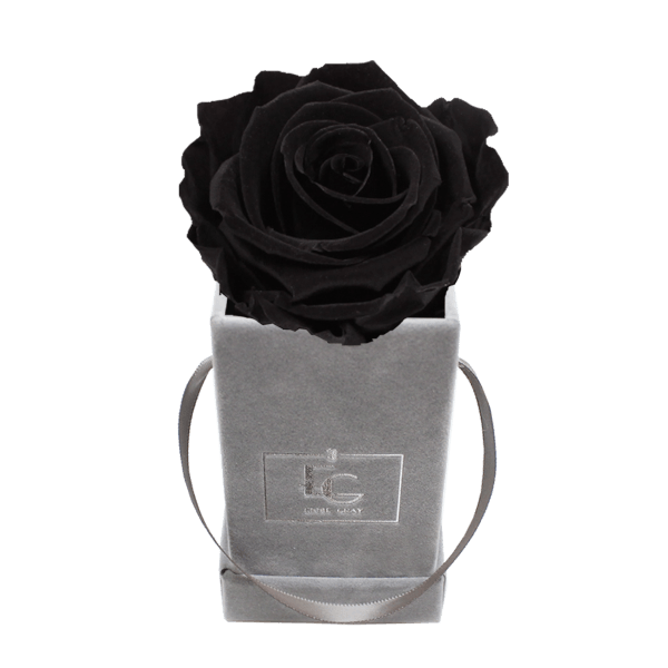 CLASSIC INFINITY ROSEBOX | BLACK BEAUTY | XXS