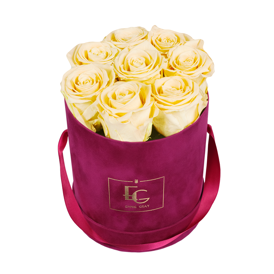 CLASSIC INFINITY ROSEBOX | CHAMPAGNE | S