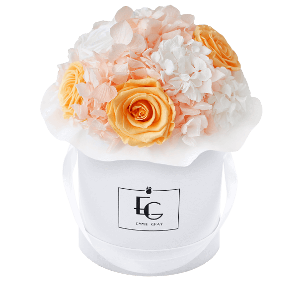 Splendid Hydrangea Mix Infinity Rosebox | Perfect Peach & Pure White | S