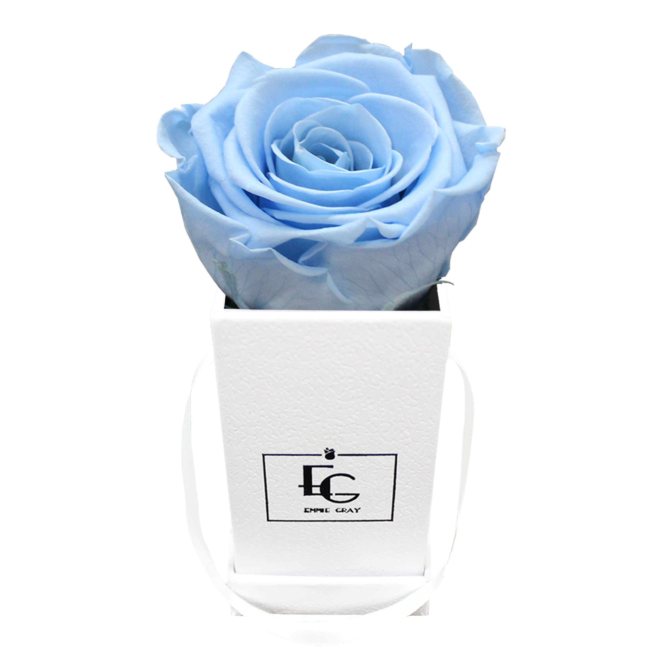 CLASSIC INFINITY ROSEBOX | BABY BLUE | XXS