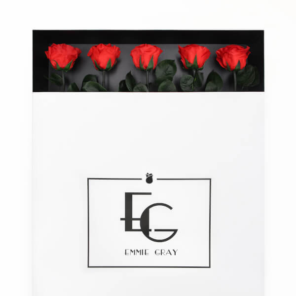 Long Stem Infinity Rose | Vibrant Red | 5 Roses