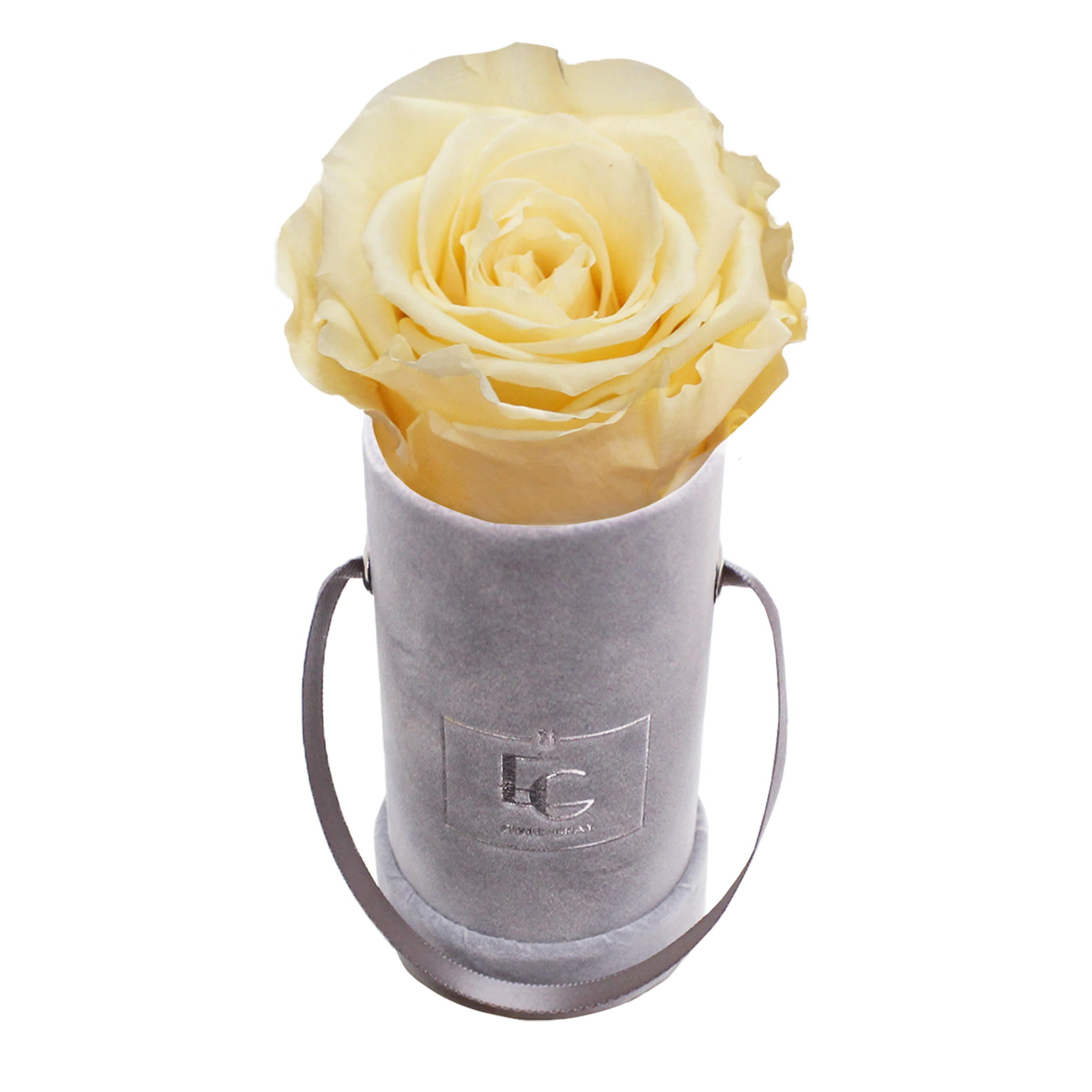 CLASSIC INFINITY ROSEBOX | CHAMPAGNE | XXS CLASSIC INFINITY ROSEBOX | CHAMPAGNE | XXS