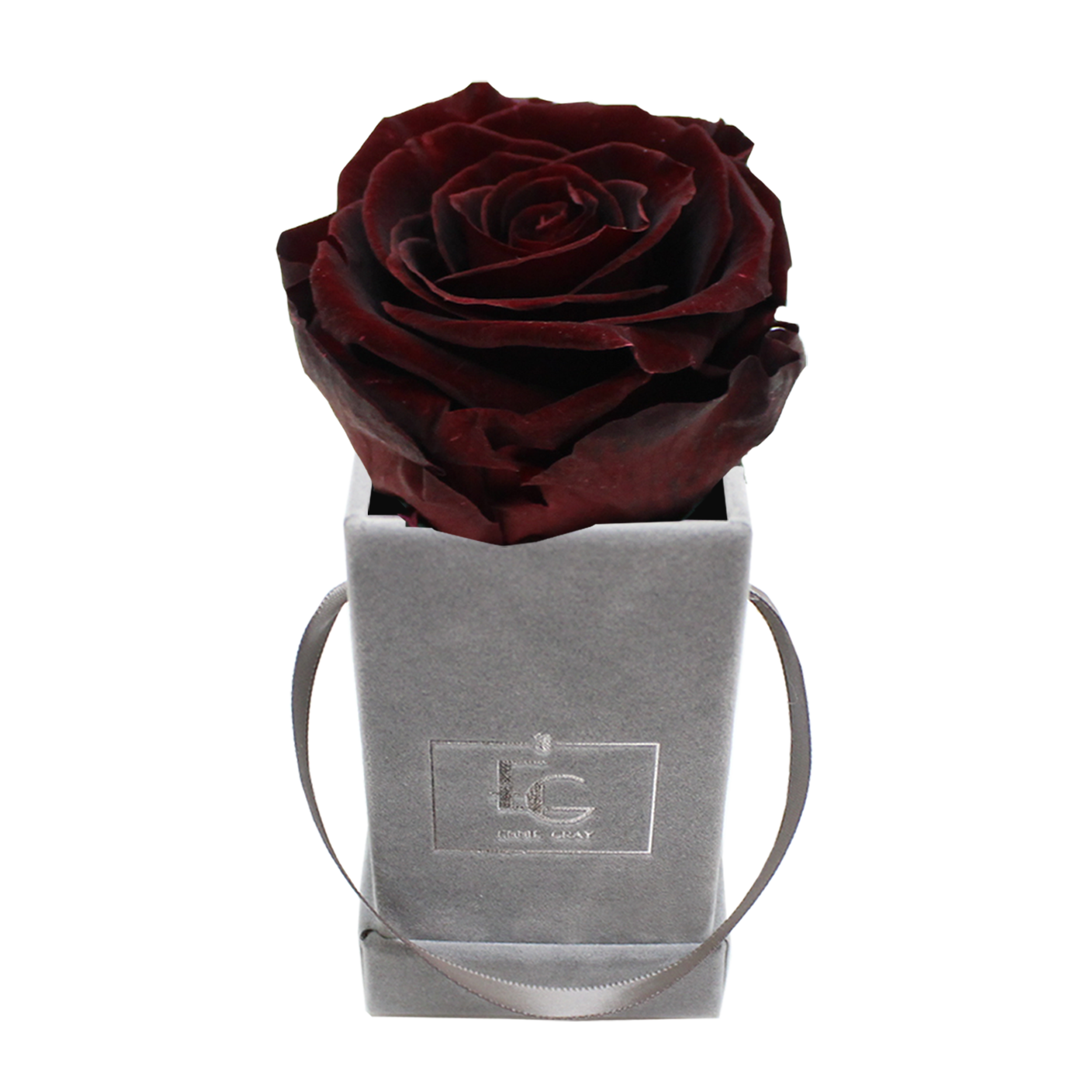 CLASSIC INFINITY ROSEBOX | BURGUNDY | XXS