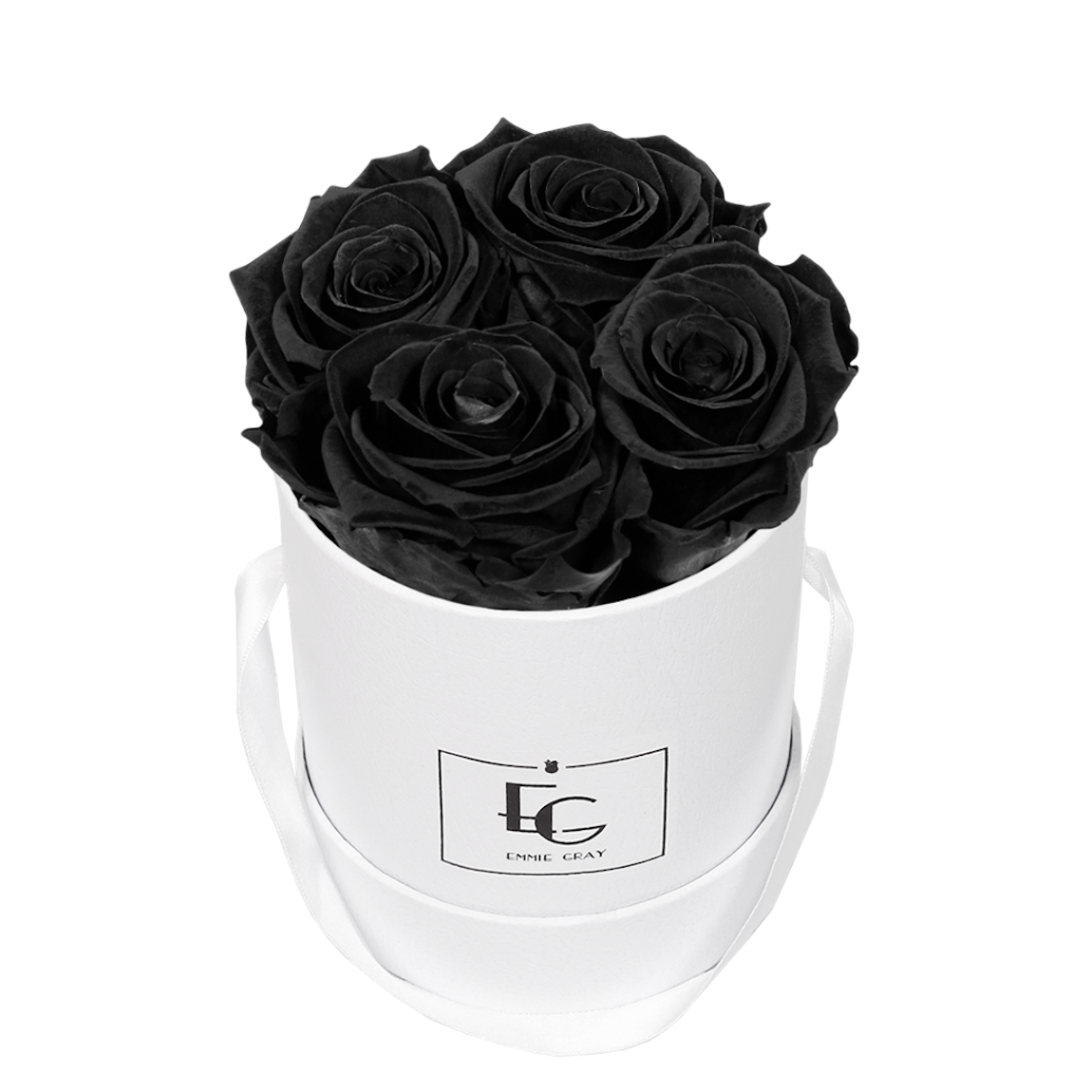 CLASSIC INFINITY ROSEBOX | BLACK BEAUTY | XS CLASSIC INFINITY ROSEBOX | BLACK BEAUTY | XS