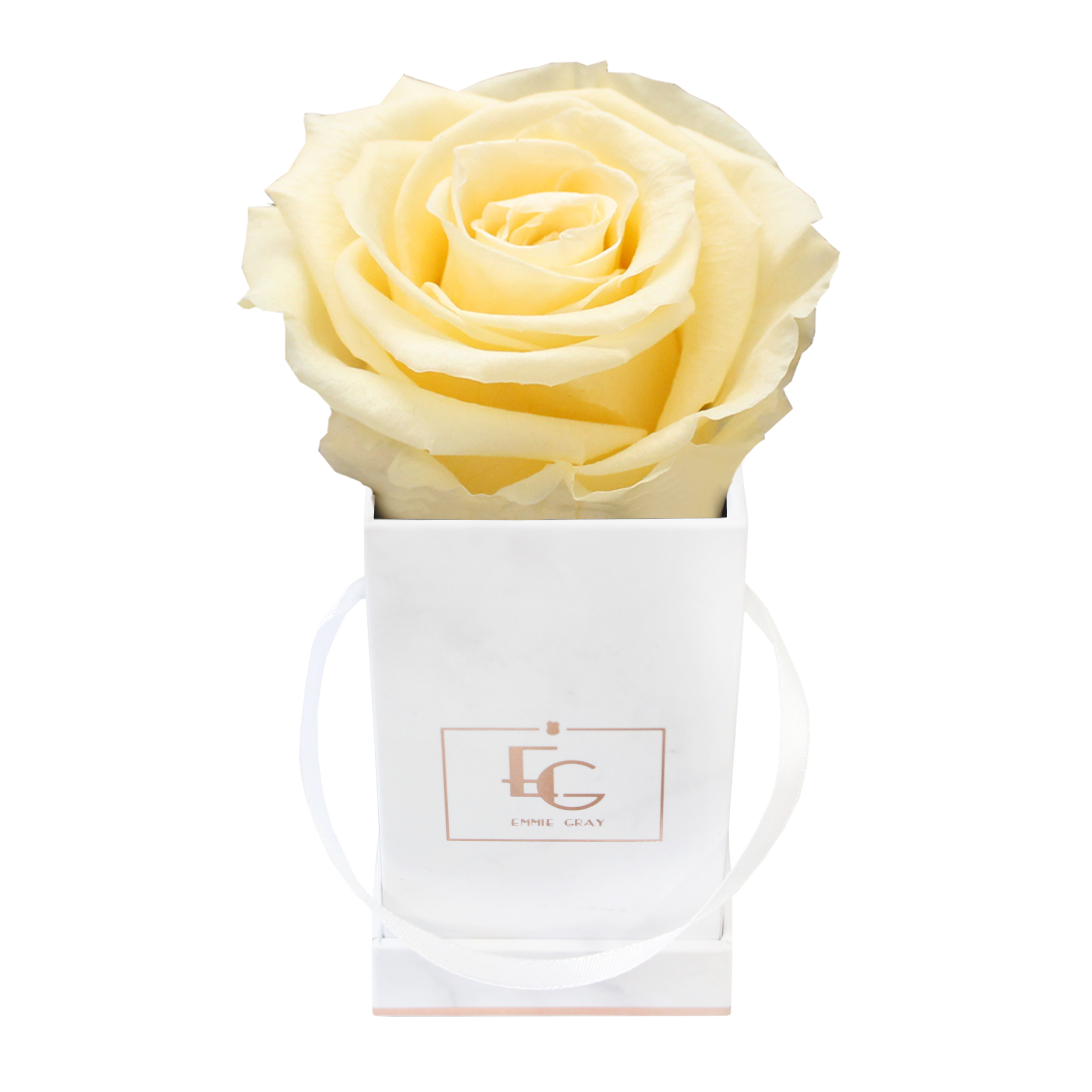 Classic Infinity Rosebox | Champagne | XXS