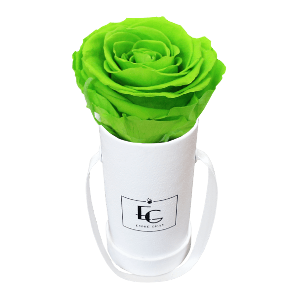 CLASSIC INFINITY ROSEBOX | GREEN GLOW | XXS