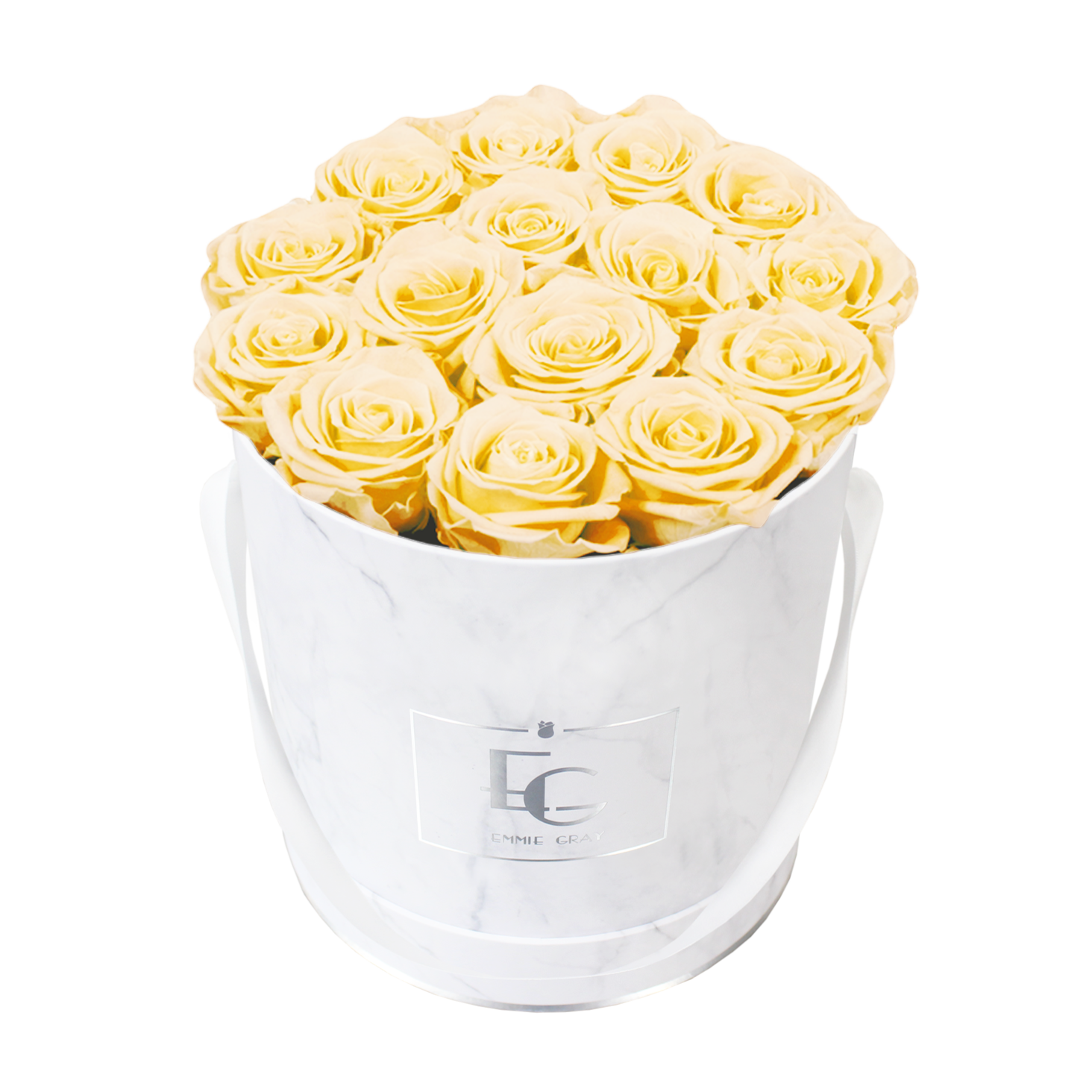 CLASSIC INFINITY ROSEBOX | CHAMPAGNE | M