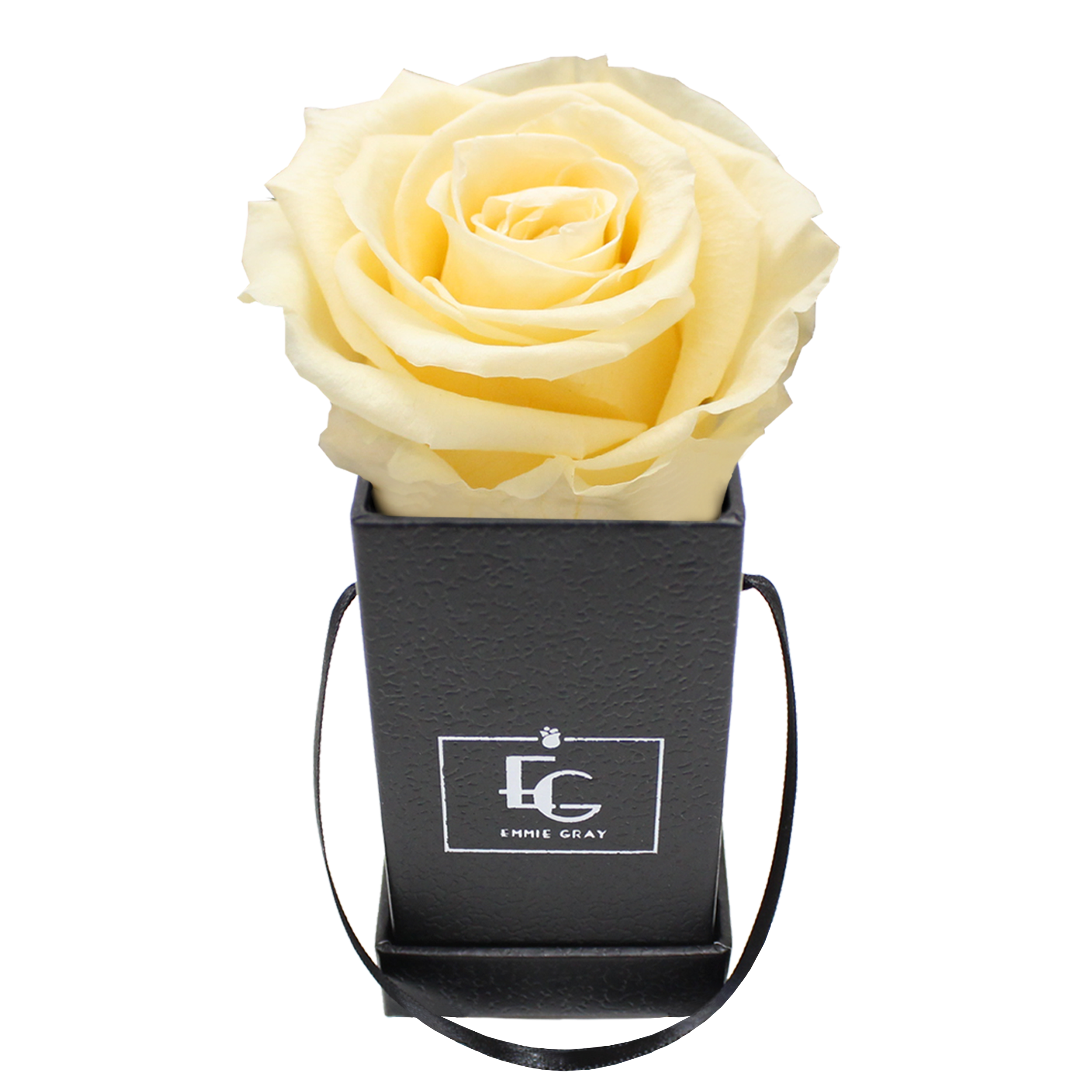 CLASSIC INFINITY ROSEBOX | CHAMPAGNE | XXS