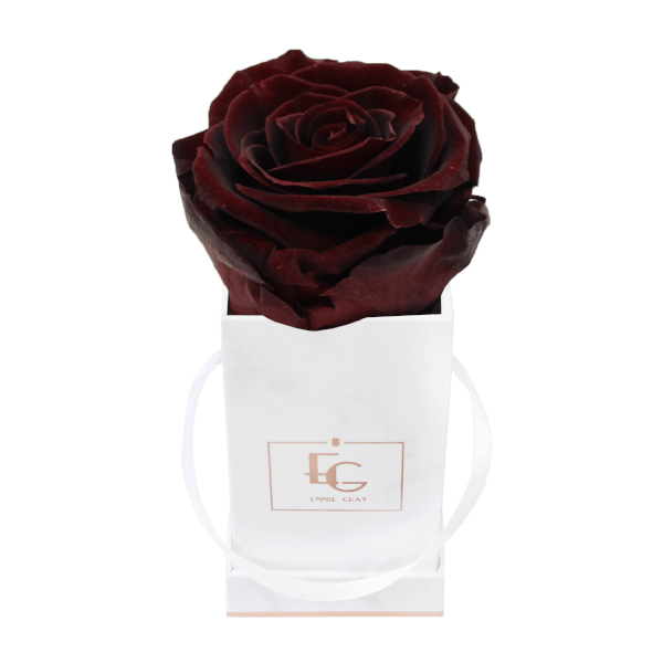 Classic Infinity Rosebox | Burgundy | XXS