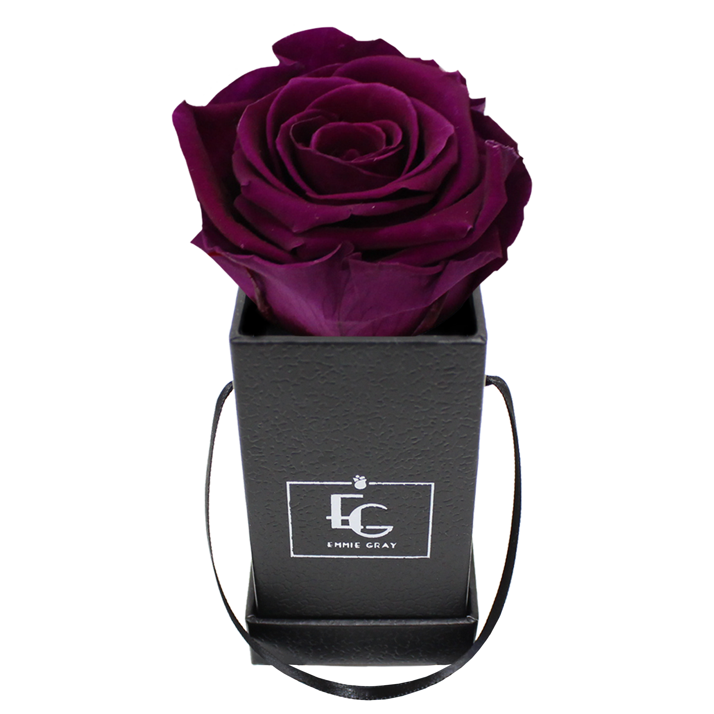 CLASSIC INFINITY ROSEBOX | VELVET PLUM | XXS