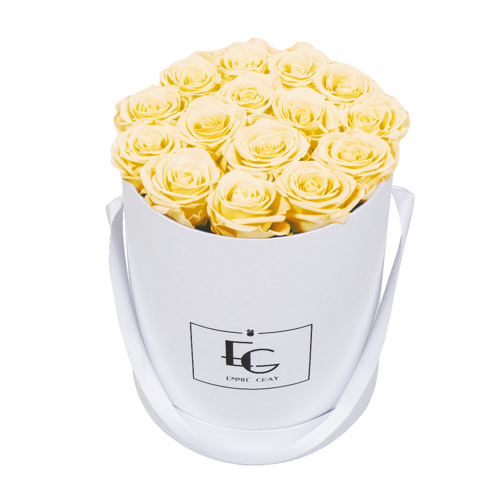 CLASSIC INFINITY ROSEBOX | CHAMPAGNE | M