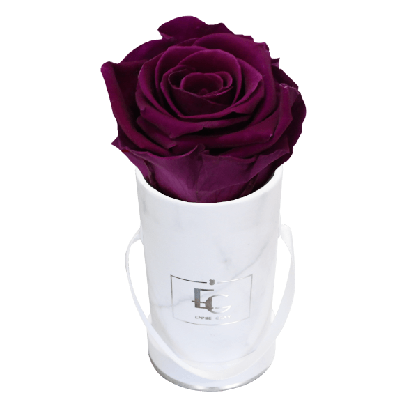 CLASSIC INFINITY ROSEBOX | VELVET PLUM | XXS