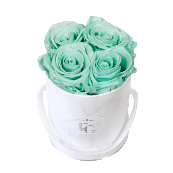 CLASSIC INFINITY ROSEBOX | MINTY GREEN | XS