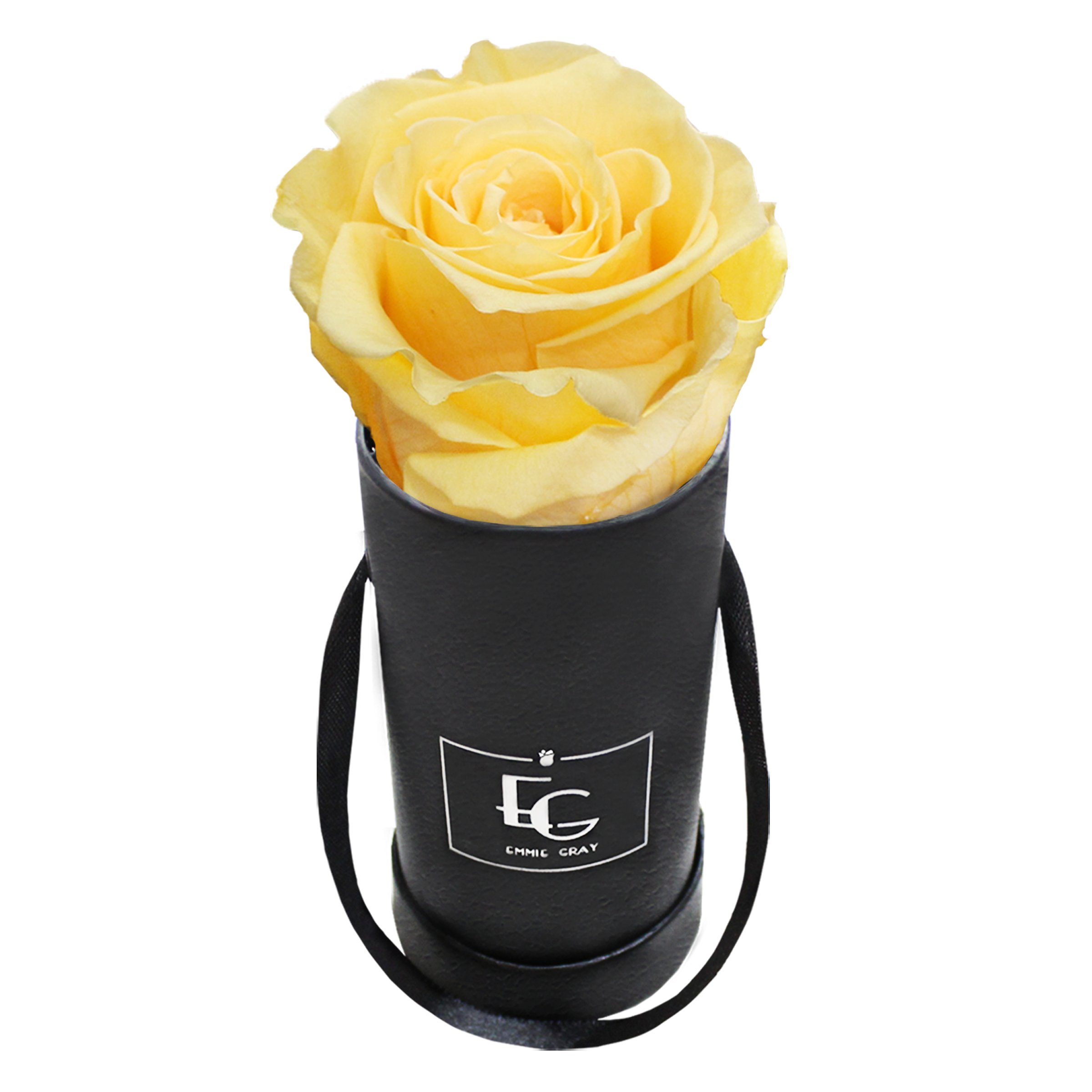 CLASSIC INFINITY ROSEBOX | PERFECT PEACH | XXS