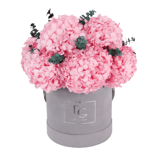 Signature Hydrangea Infinity Rosebox | Bridal Pink | M