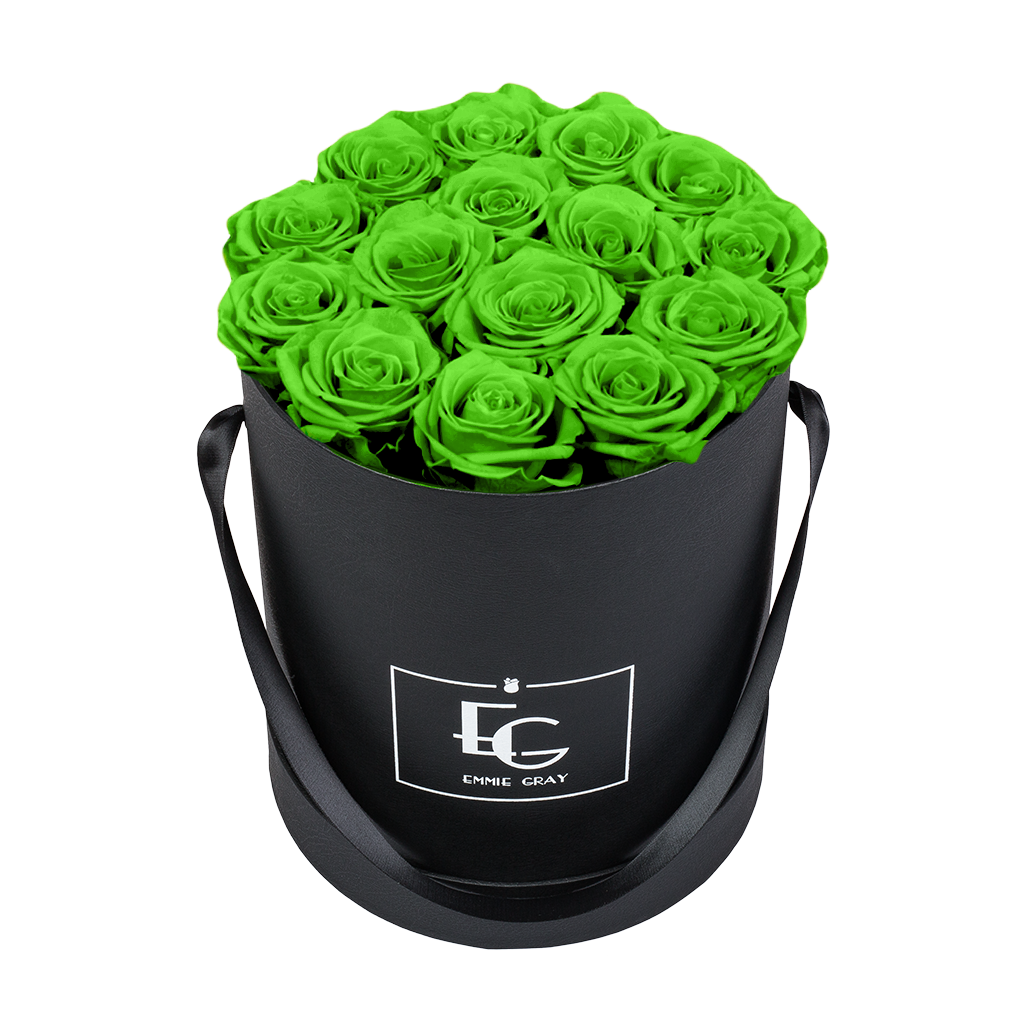 CLASSIC INFINITY ROSEBOX | GREEN GLOW | M