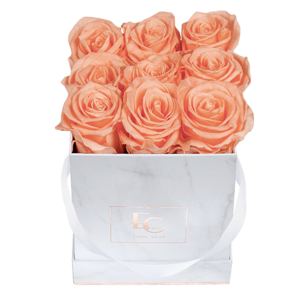 Classic Infinity Rosebox | Perfect Peach | S