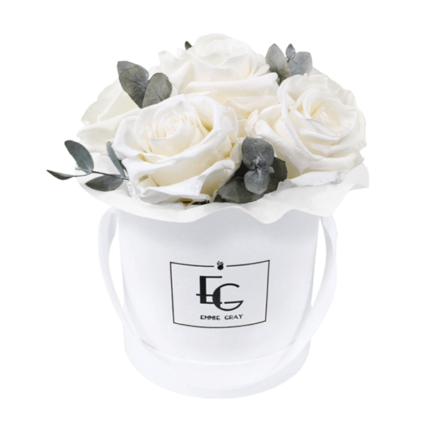 Splendid Eucalyptus Infinity Rosebox | Pure White | XS